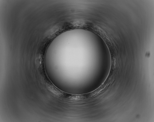 X0000097990567200804021011