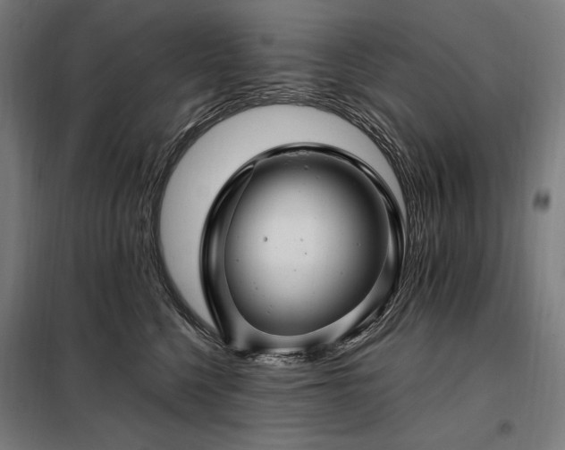 X0000097990568200804021011
