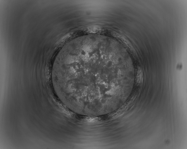 X0000097990569200804021011