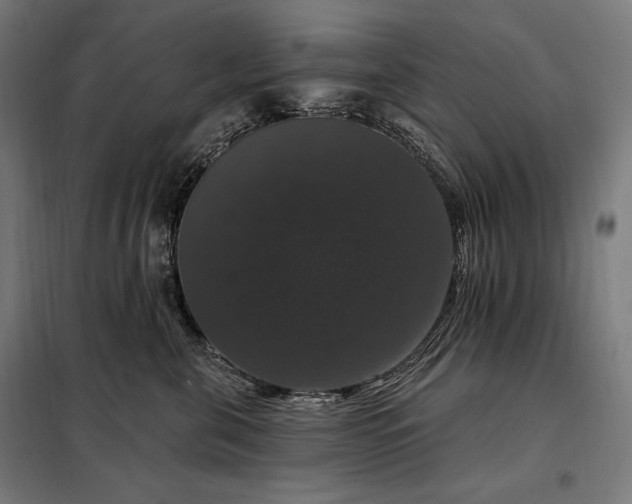 X0000097990571200804021011
