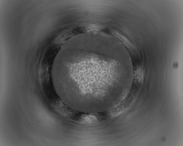 X0000097990572200804021011