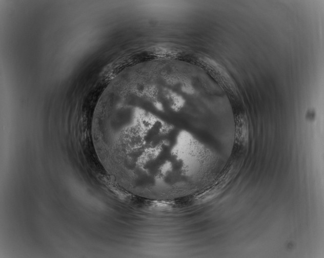 X0000097990573200804021011