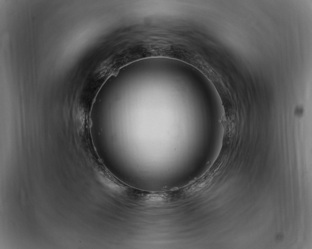 X0000097990574200804021011