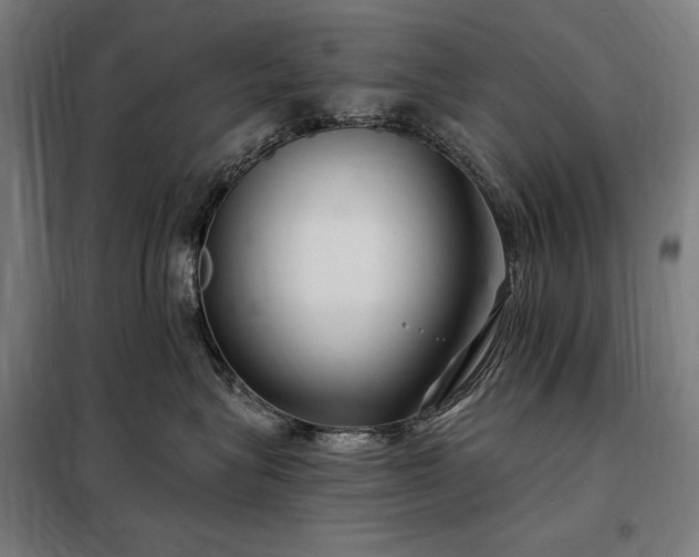 X0000097990575200804021011