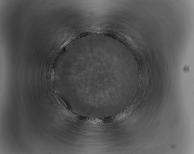 X0000097990576200804021011