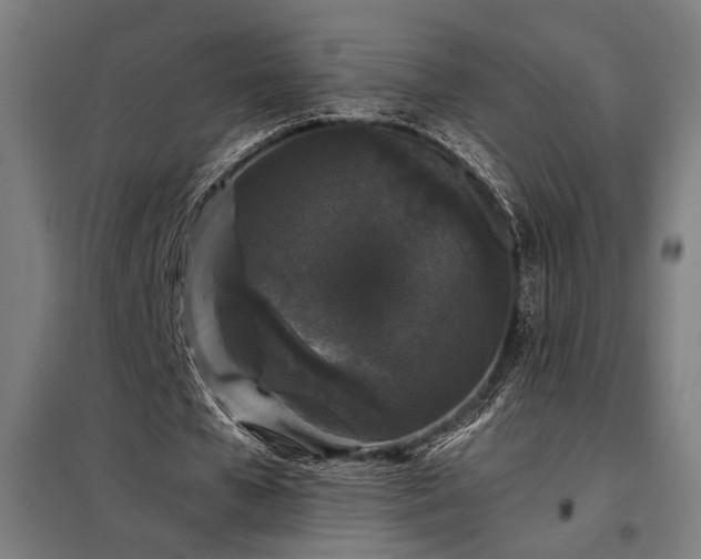 X0000097990577200804021010