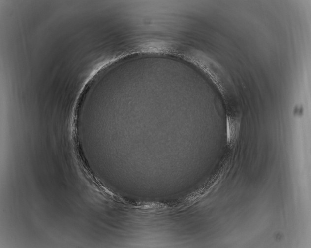 X0000097990579200804021010