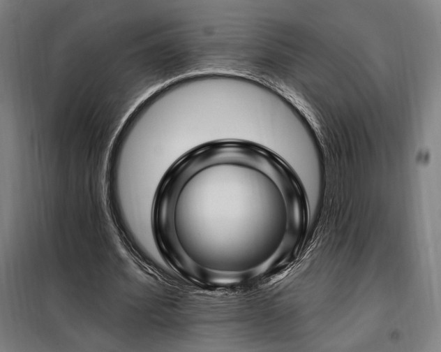 X0000097990580200804021010
