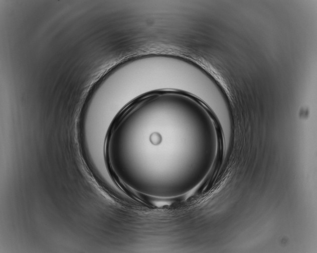 X0000097990581200804021010