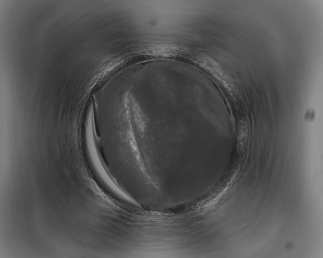 X0000097990585200804021010