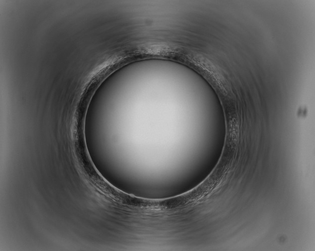 X0000097990587200804021010