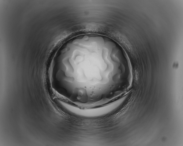 X0000097990588200804021010
