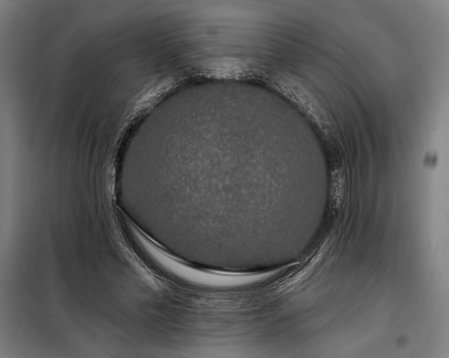 X0000097990589200804021010
