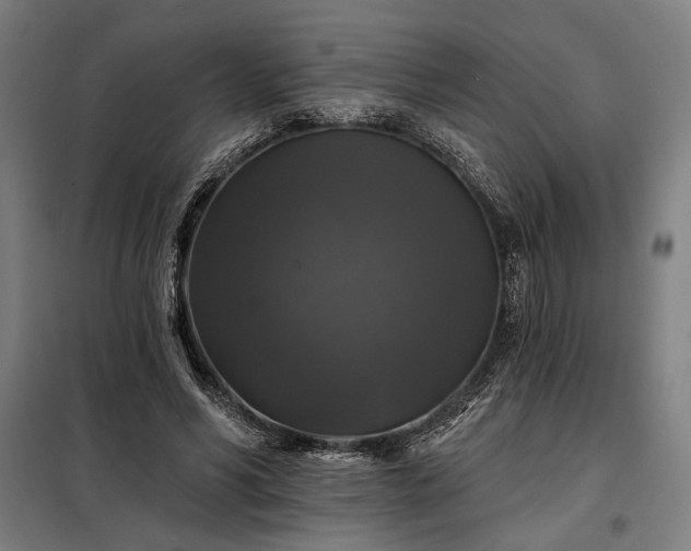 X0000097990590200804021010