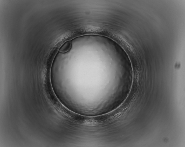X0000097990591200804021010