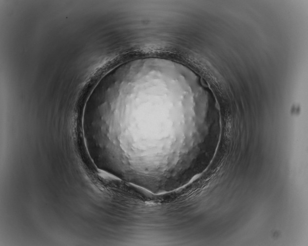X0000097990592200804021010