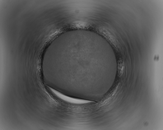 X0000097990593200804021010