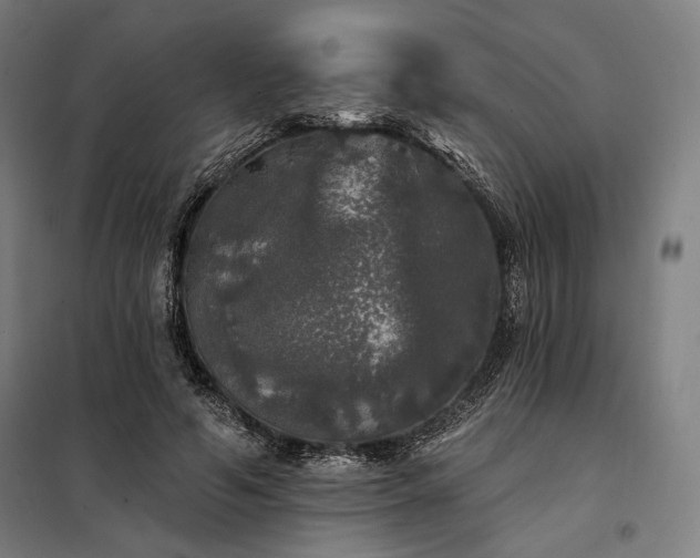 X0000097990594200804021010