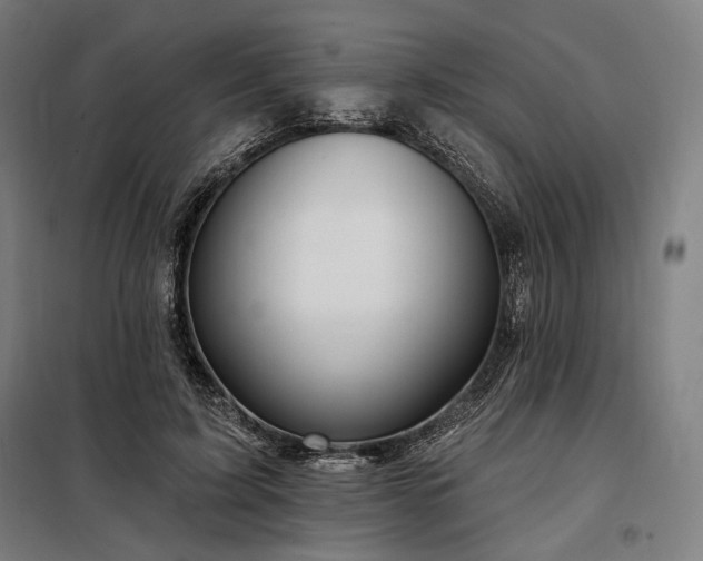 X0000097990595200804021010