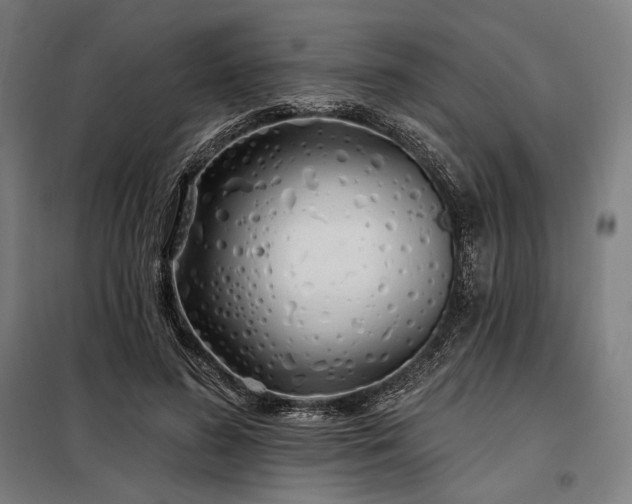 X0000097990596200804021010