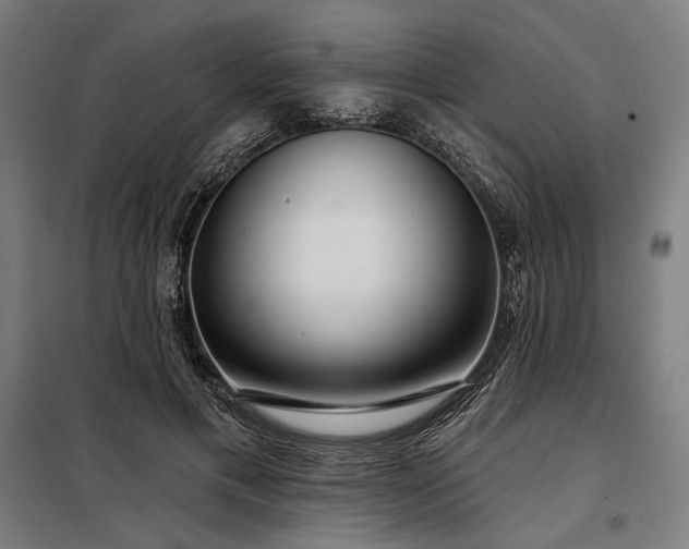 X0000097990597200804021010