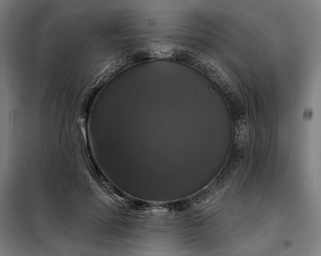 X0000097990598200804021010