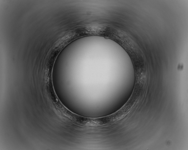 X0000097990599200804021010