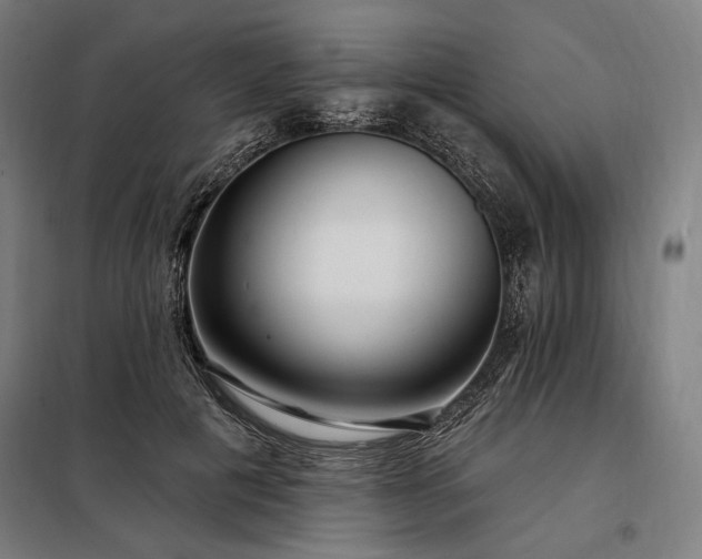 X0000097990601200804021010