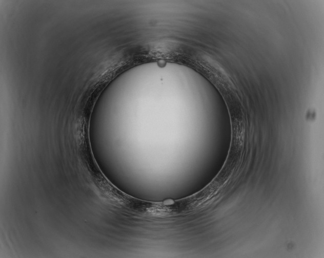 X0000097990603200804021010