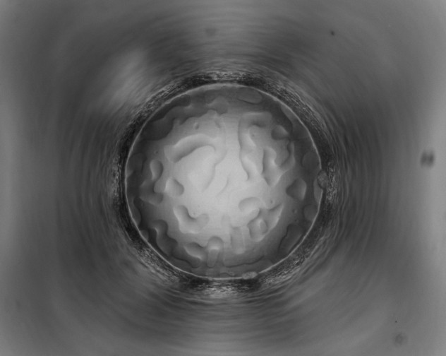 X0000097990604200804021010