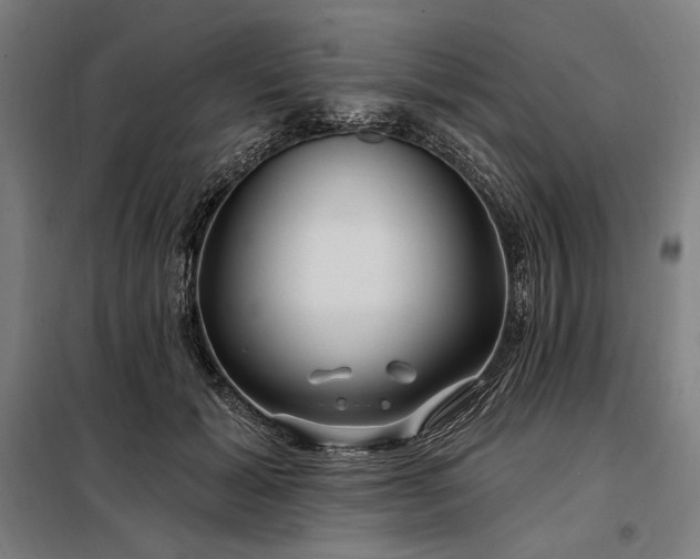 X0000097990605200804021010