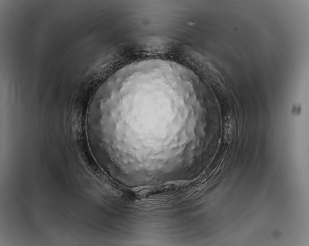 X0000097990608200804021010