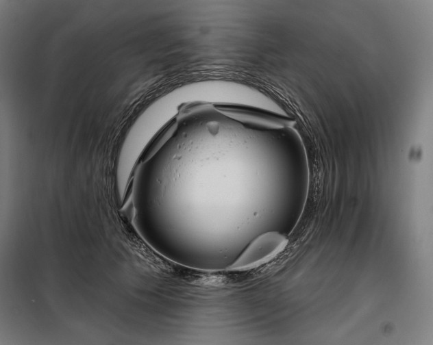 X0000097990609200804021010