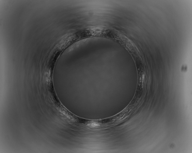 X0000097990610200804021010