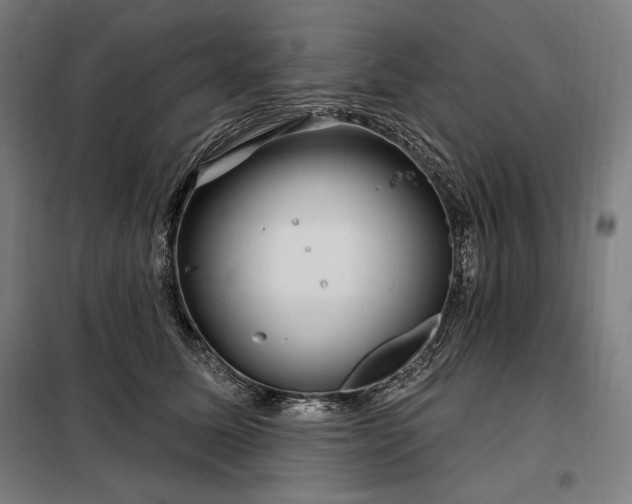 X0000097990611200804021010