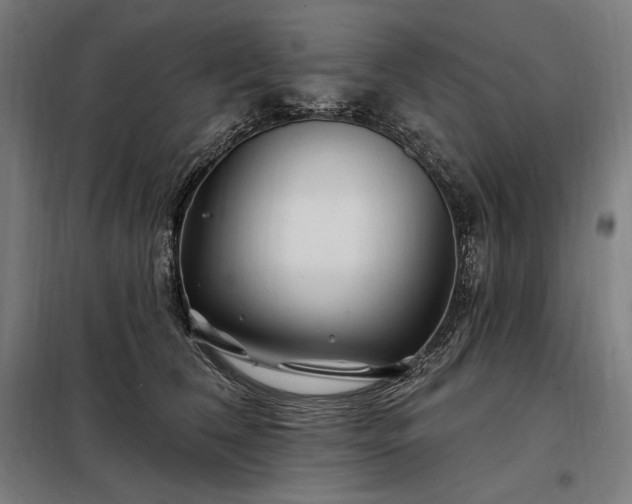 X0000097990612200804021010