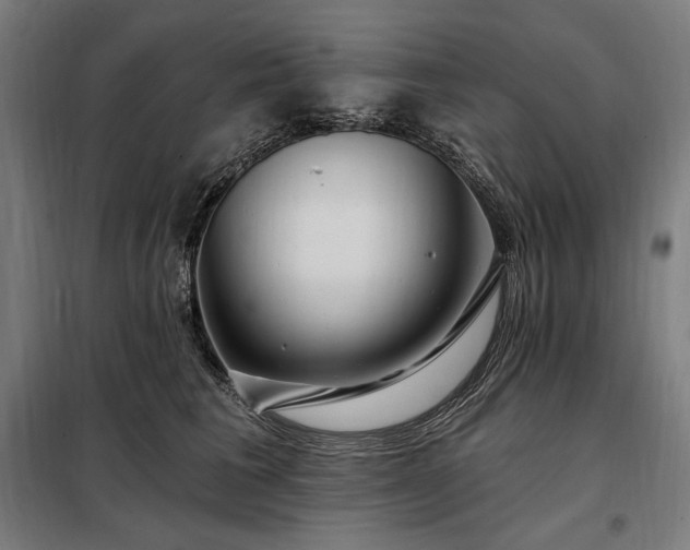 X0000097990613200804021010