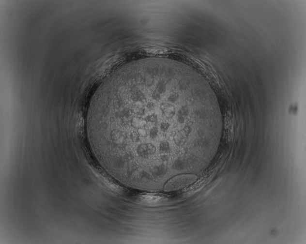 X0000097990614200804021010
