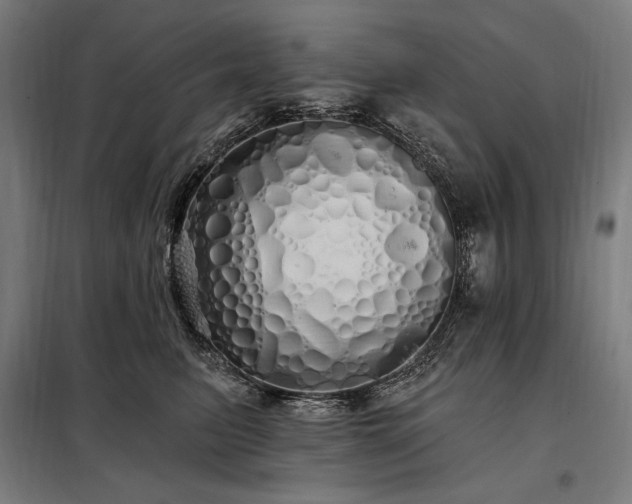 X0000097990615200804021010