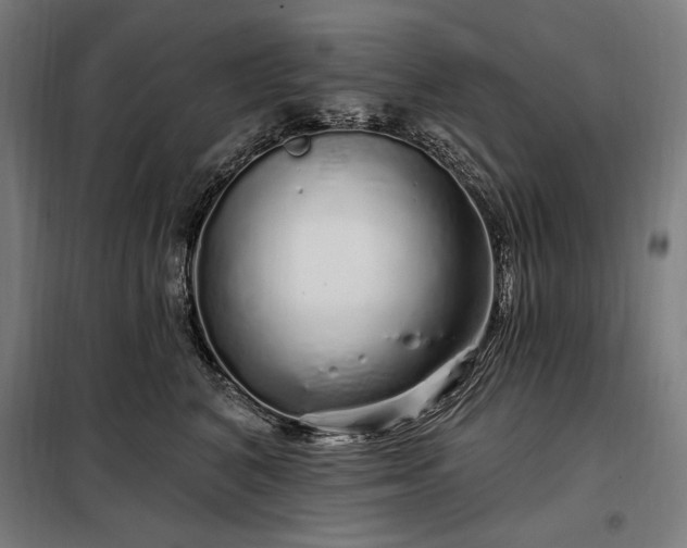X0000097990616200804021010