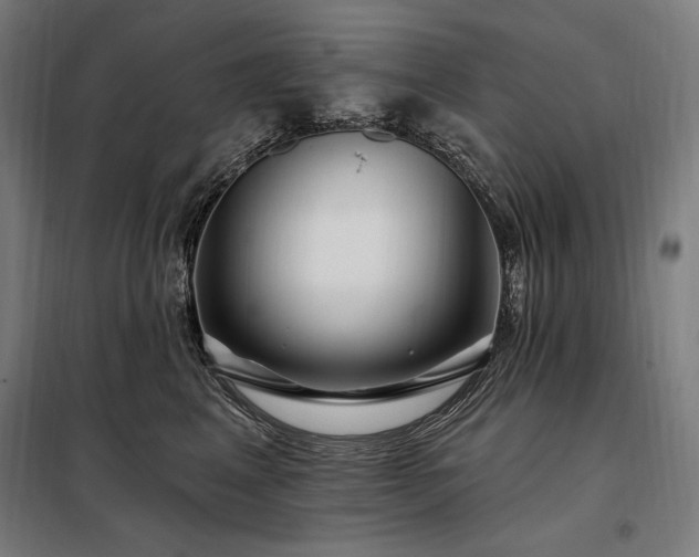 X0000097990617200804021010
