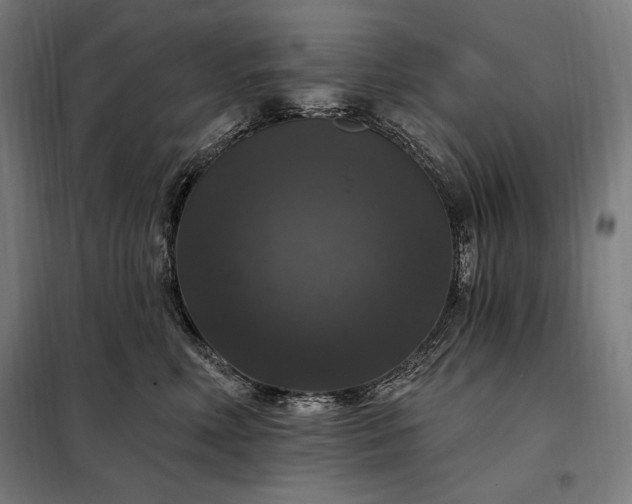 X0000097990618200804021010