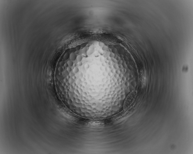 X0000097990619200804021010