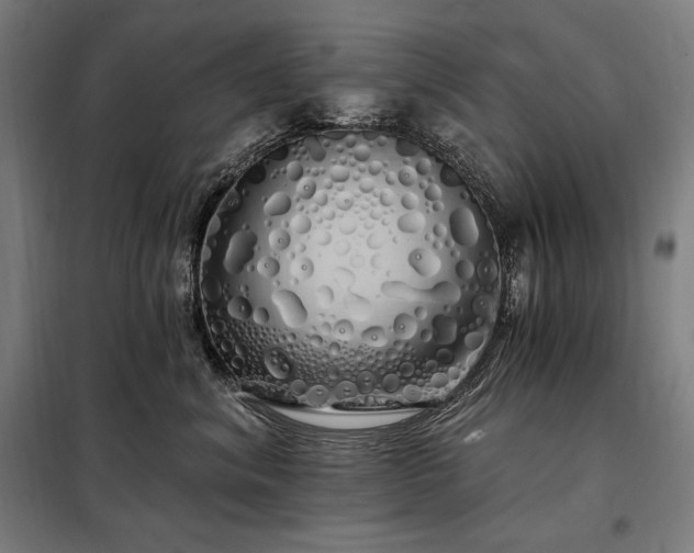 X0000097990620200804021010