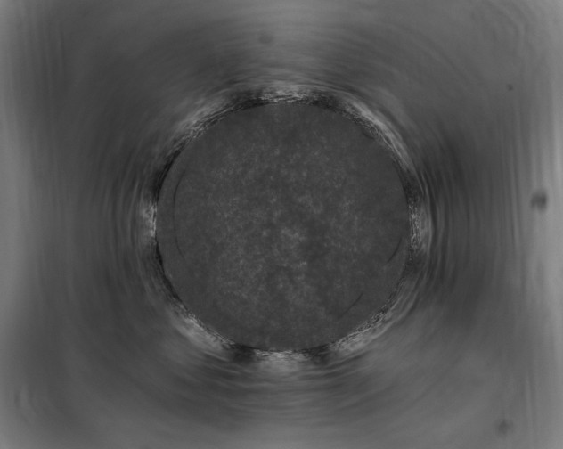 X0000097990621200804021010