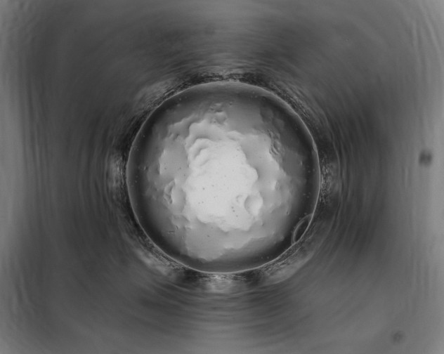 X0000097990623200804021010
