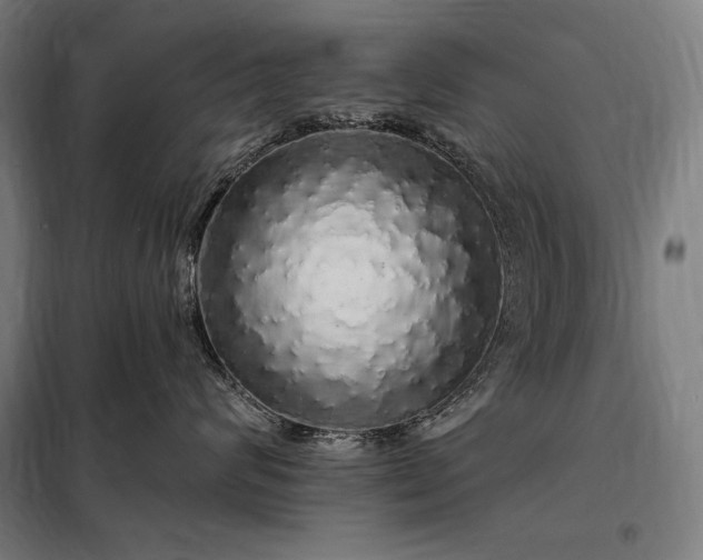 X0000097990624200804021010