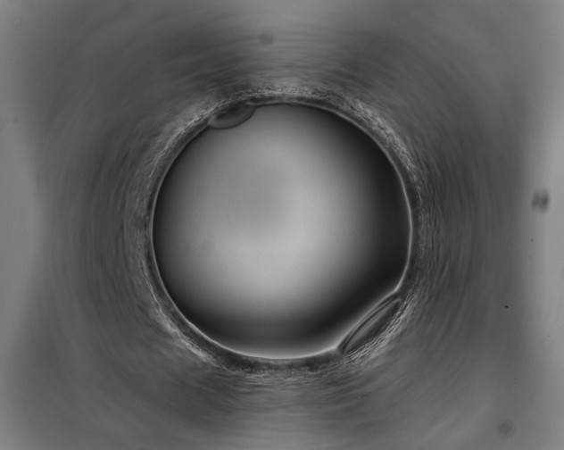 X0000097990625200804021009