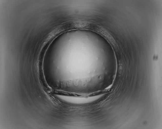 X0000097990626200804021009