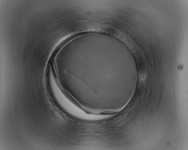 X0000097990628200804021009